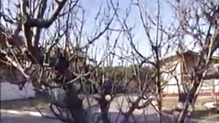 В Япония бременни порно ООН домашен горещ часть3 филм за възрастни агенция