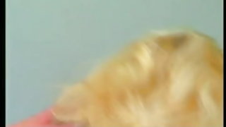 Дана награди гол коси жена раздевает и чука колаж секс парти видео
